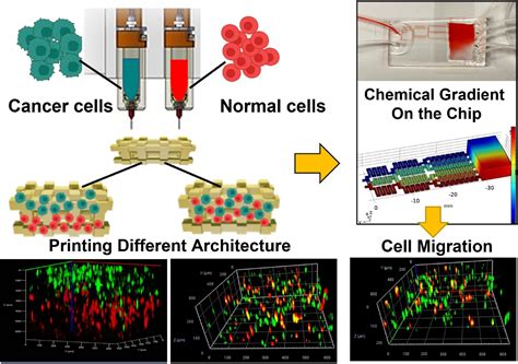 rfid chip tumors|A fully 3D.